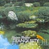 Tranquility - Meditao