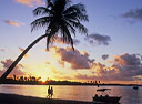 Ilha de Boipeba - A beleza do Caribe na Bahia